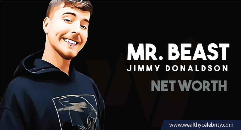 Mr Beast - Net Worth